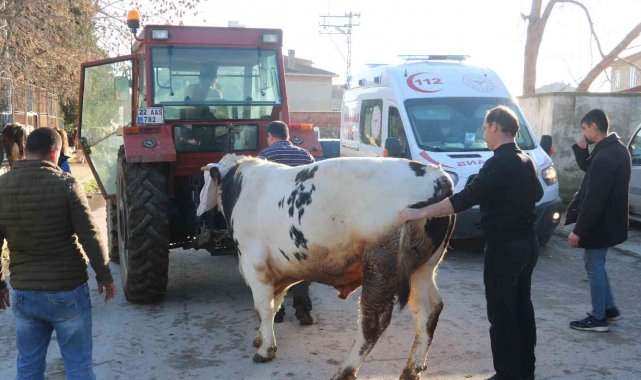 Samanlıkta çıkan yangında hayvanlarını kurtarmak için seferber oldular