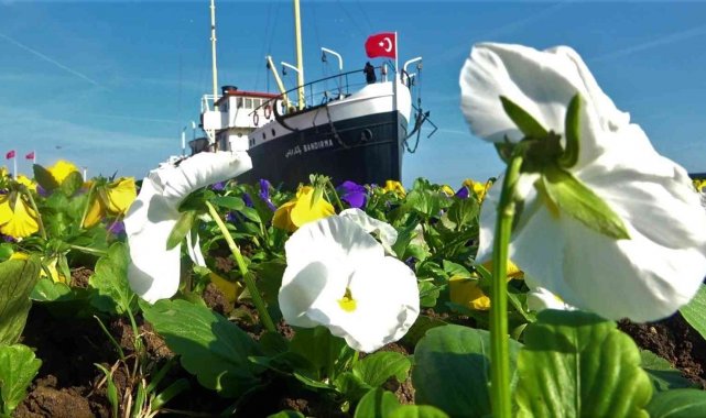 Samsun&#039;da 1500 ağaç ve 53 bin bitki toprakla buluşacak