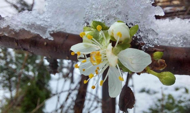 Samsun'da yağan kar kartpostallık görüntüler oluşturdu