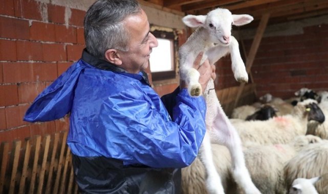 Samsun'da yerel ırk koyun keçi yetiştiricisine destek