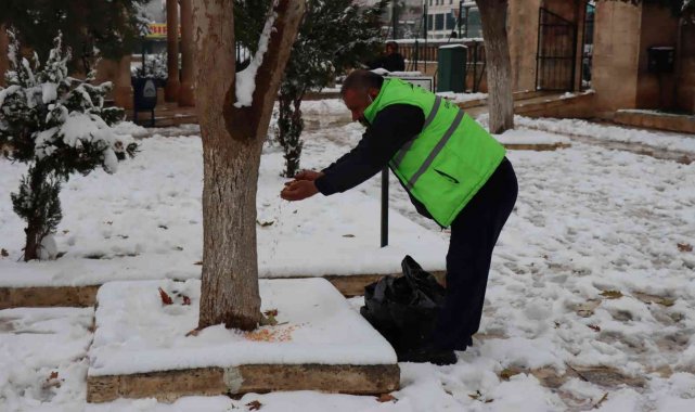 Şanlıurfa'da sokak hayvanları unutulmadı