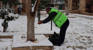 Şanlıurfa'da sokak hayvanları unutulmadı