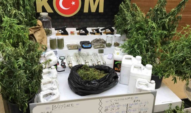 Sarallar operasyonunda dikkat çeken detaylar:Uyuşturucu serası ortaya çıktı