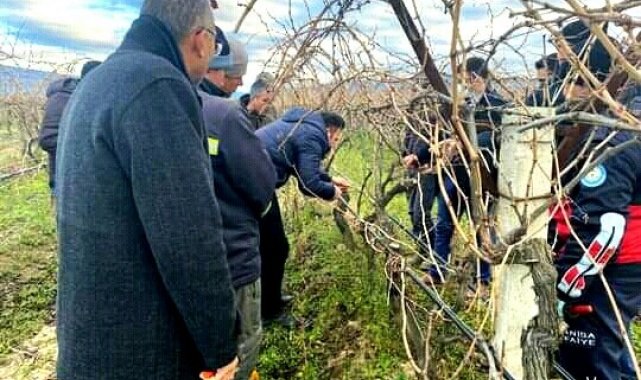 Sarıgöl'de bağ budama kursu açıldı
