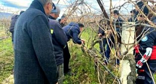 Sarıgöl'de bağ budama kursu açıldı