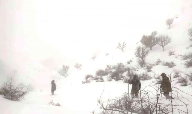 Sason'da karda kaybolan keçiler için köylüler sefer oldu