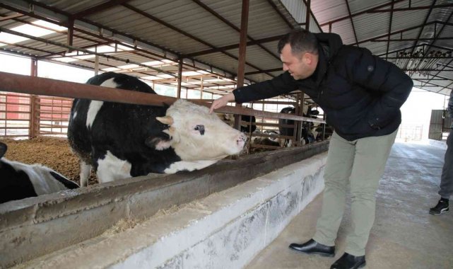 Seferihisar'da 150 üreticinin süt krizi çözüldü: Sütleri Tarım Kredi Kooperatifi satın alacak