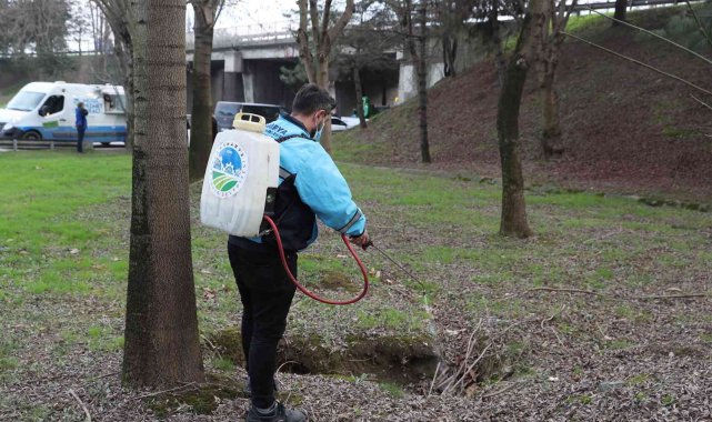 Şehir genelinde ilaçlama, mıntıka ve çevre temizliği sürüyor