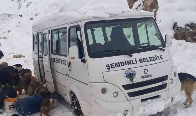 Şemdinli'de can dostlar unutulmadı