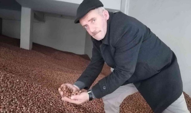 Serbest piyasada fındık fiyatı 35 lira