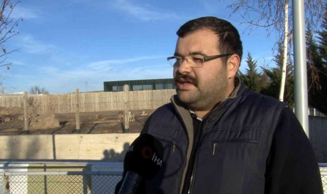 Sıcak iklim hayvanlarına özel bakım