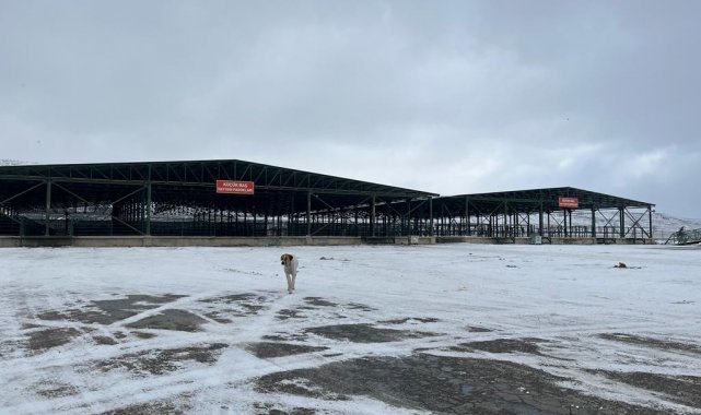Şiddetli kar hayvan pazarını boş bıraktı