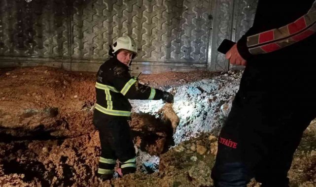 Siirt&#039;te çukura düşen köpek ve 13 yavrusu kurtarıldı