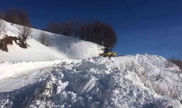 Siirt'te kar nedeniyle 73 köy yoluna ulaşım sağlanamıyor