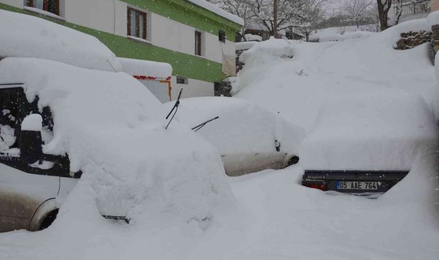 Şırnak'ta ağaçlar kırıldı, araçlar karda kayboldu