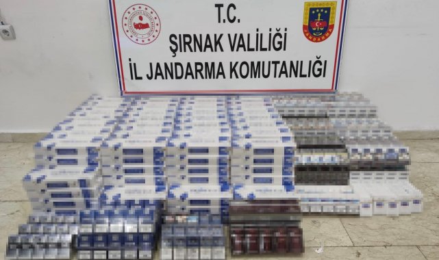 Şırnak'ta çok sayıda uzun namlulu silah ele geçirildi: 87 gözaltı