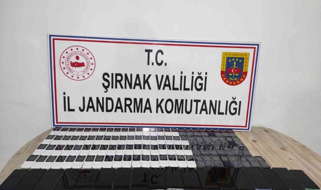 Şırnak'ta kaçakçılık operasyonu: 49 gözaltı