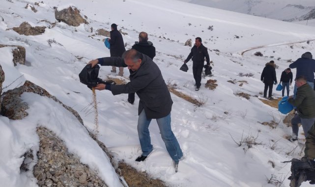 Sivas&#039;ta yaban hayatı unutulmadı