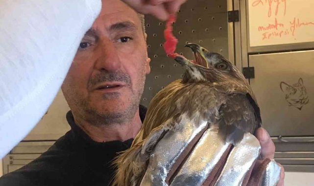 Soğuk hava şahini de vurdu