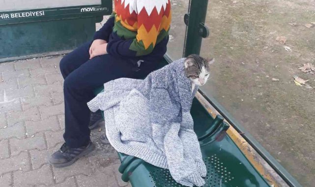 Soğukta üşüyen kediyi hırkasıyla ısıtmaya çalıştı