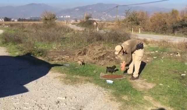 Sokak canları için restoran ve iş yerleri bilgilendirildi