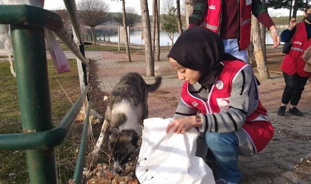 Sokak hayvanları için doğaya yem ve su bıraktılar