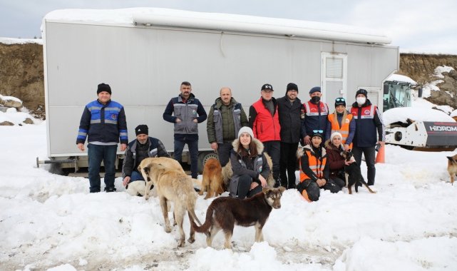 Sokak hayvanları için el birliği