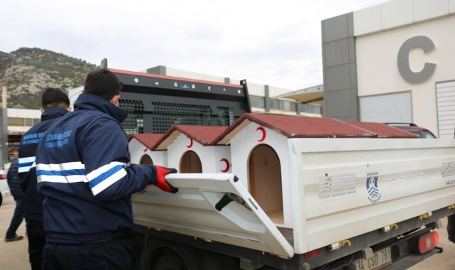 Sokak hayvanları için proje ürettiler