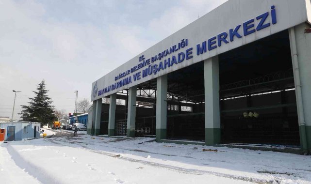 Sokak hayvanları infrared sistemle soğuktan korunuyor