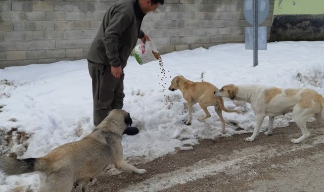 Sokak hayvanları unutulmadı