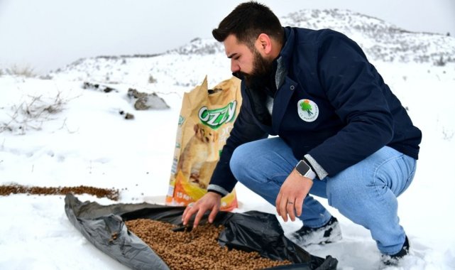 Sokak hayvanlarına dört mevsim destek