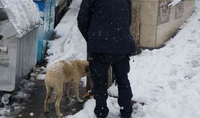 Sokak hayvanlarına emniyet güçleri sahip çıktı