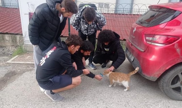 Sokak hayvanlarına öğrencilerden özel ilgi