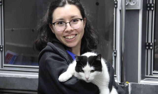 Sokak kedileri kışı veteriner kliniklerinde geçirecek