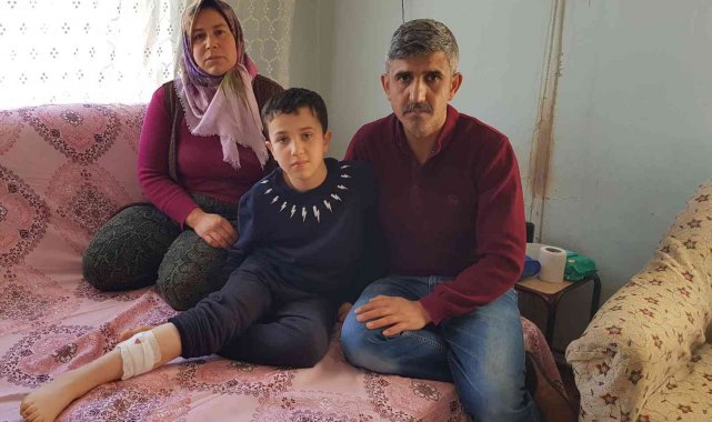 Sokak Köpekleri bir çocuğa daha saldırdı