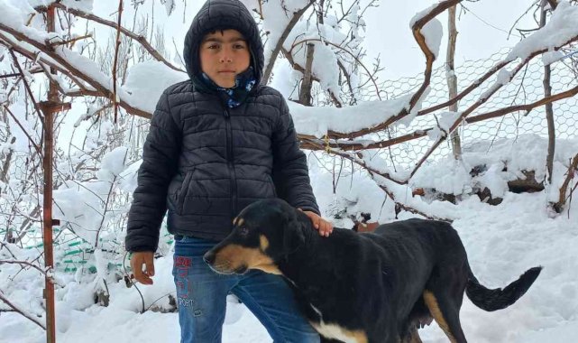 Sokakta doğum yapan köpeğe sahip çıktılar