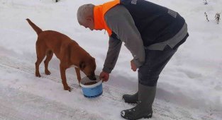 Sokaktaki canlar sahipsiz kalmadı