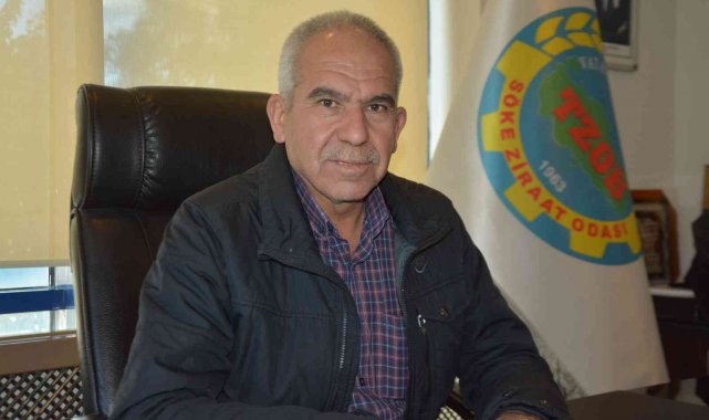 Söke Ziraat Odası; "Yağışlarla umudumuz yeniden yeşerdi"