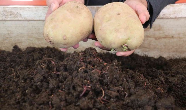 Solucan gübresi rekolte ve kaliteyi yüzde 60 artırdı