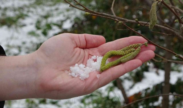 Soydan: "Bölgedeki kar yağışı fındık açısından oldukça faydalı"