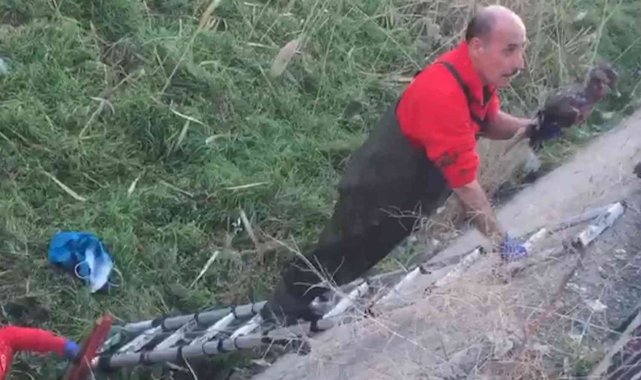 Su kanalına düşen yaban ördeğini itfaiye kurtardı