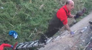 Su kanalına düşen yaban ördeğini itfaiye kurtardı