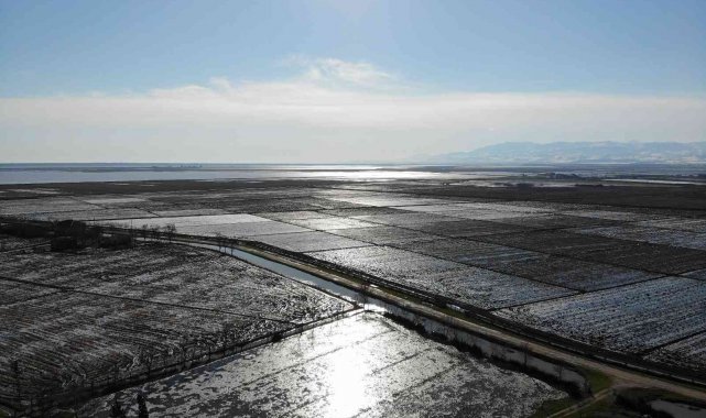 Sular altında kalan tarım arazileri havadan görüntülendi