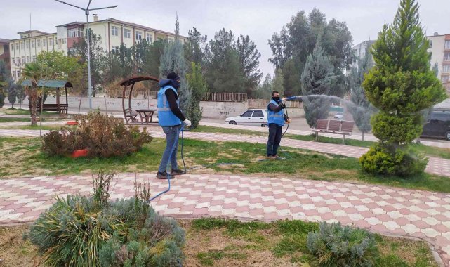 Suriye sınırında şark çıbanı alarmı