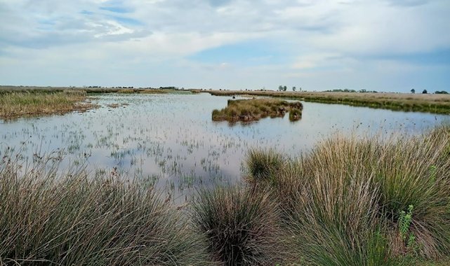 Tabiat parkları ve sulak olanlara olan ilgi arttı