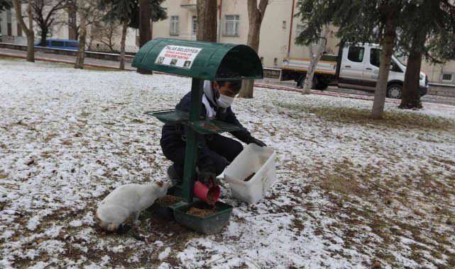 Talas&#039;tan can dostlara şefkat eli