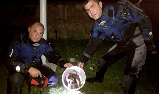 Tarihi hamama düşen 2 yavru köpeği AFAD ekipleri kurtardı