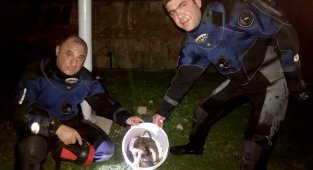 Tarihi hamama düşen 2 yavru köpeği AFAD ekipleri kurtardı