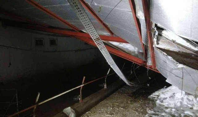 TARSİM: "Üreticilere 92 milyon TL hasar ödemesi yapılacak"