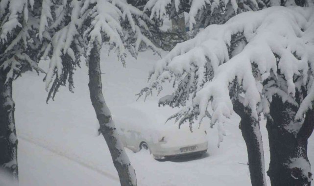 Tatvan kara teslim oldu